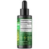 Vitamatic 2 Packs Liquid Mullein Leaf 1000mg per Serving -
