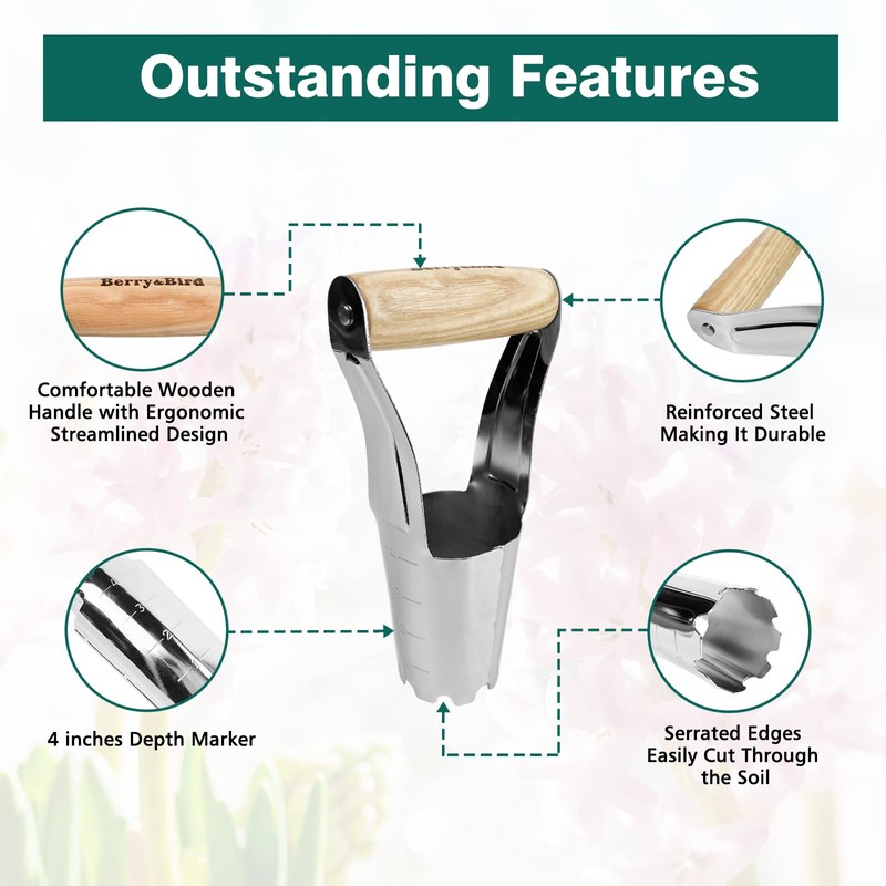 Berry&Bird Garden Bulb Planter with 4 Inches Depth Mark, Stainless