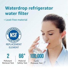 Waterdrop UKF8001 Refrigerator Water Filter, Compatible with Whirlpool EDR4RXD1, UKF8001AXX-750, UKF8001AXX-200, 4396395, 469006, Filter 4, PUR, Puriclean II, Pack of 2 (package may vary)