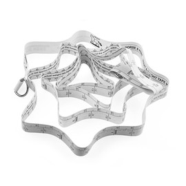 WANGCL Portable Horse Measuring Stick Animal Weight Tape Horse Weight Tape Measure For Measurement Of Animal Bust And Weight-2.5M