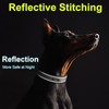 Fida Padded Dog Collar, Reflective Strong Dog Collar with Double