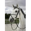 Riding World Mexican Horse Bridle Bridle