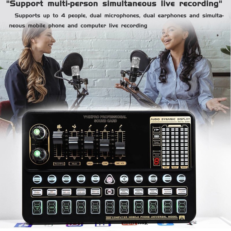 MadHornets V10 Live Sound Card & M800 Condenser Microphone for