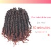 BOHOBABE Crochet Passion Twist Hair Pretwisted 10 Inch Short Pre-looped