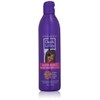 SoftSheen-Carson Dark and Lovely Healthy-Gloss 5 Moisture Conditioner with Satin