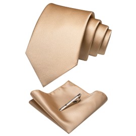 RBOCOTT Gold Silk Tie and Pocket Square, Necktie Tie Clip Set for Men (1)