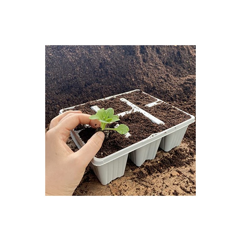 6 Cell Recyclable Grey Plastic Plant Tray | Pack of