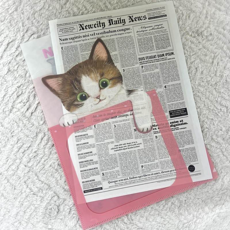 Gakken Stayful Clear Holder, Cat Hara Stationery, A4, Pocket File,