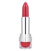 Parisax Pro Rouge Cardinal Matte Lipstick