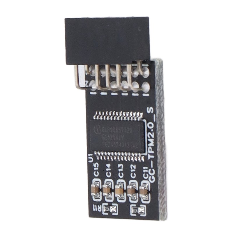 TPM 2.0 Module LPC SPI 12Pin Remote Card Encryption Security