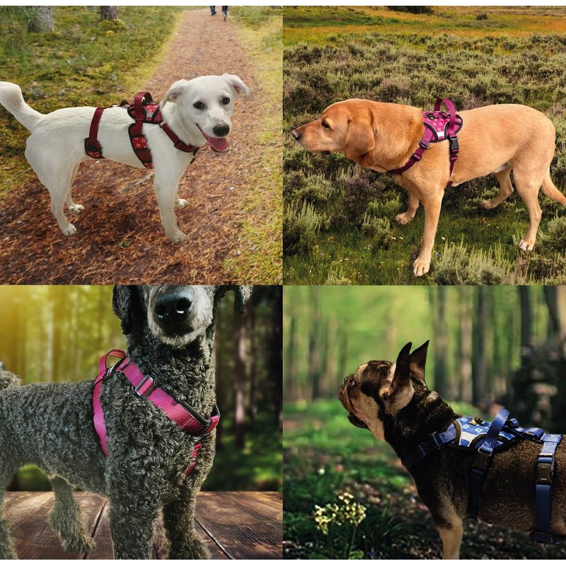 Tail Blazers Adjustable Dog Harness – No Pull, Breathable Padded