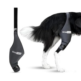 Ortocanis - Dog Knee Brace - For Right Hind Leg - Made of ARD Neoprene - For ACL Tear, Ligament Injuries, Patellar Luxation or Osteoarthritis - Size XX-Small (7,5-8,2 ")