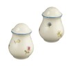 Seltmann Weiden 001.294023 Marieluise Scattered Flower Salt and Pepper Shaker