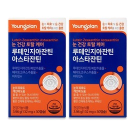 Youngjin Pharmaceutical Lutein Zeaxanthin Astaxanthin 2 boxes / 영진약품 루테인 지아잔틴 아스타잔틴 2박스