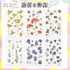 moin Moin 2204sl138 Seal, Pressed Flowers, Clear, Transparent, Random Set