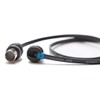 EBS BlueDot Midi Cable 28cm
