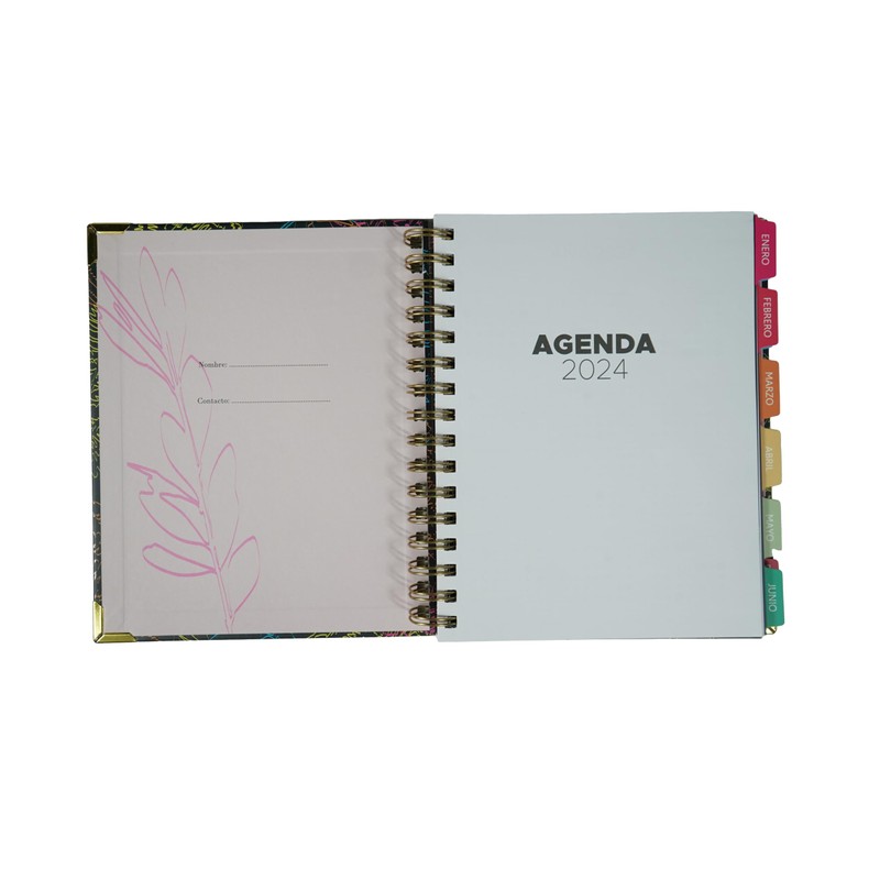 School Diary Page by Day | Ideal for Teachers and