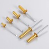 Wensilon (400 Pcs) 1/8"x1/4" Golden Aluminum blind pro Rivets,Golden Aluminum