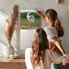 2024 2025 English Setter Calendar - Dog Breed Monthly Wall