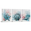 RyounoArt 3 Piece Coastal Wall Art Coral Shell Reef Painting