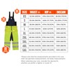Ergodyne N-Ferno 6479 Insulated Freezer Bib Overalls, Hi Vis, Cold