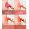 SELVE Melting Film Lip (Lipstick) (04 Orange Brick, 3.8g)