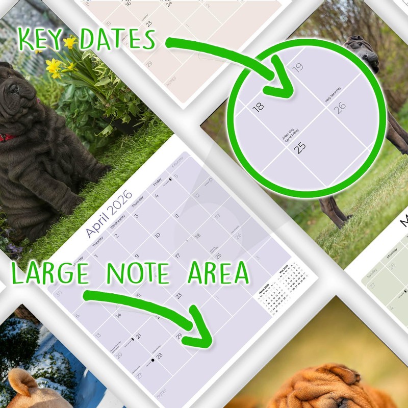 2025 2026 Shar Pei Calendar - Dog Breed Monthly Wall