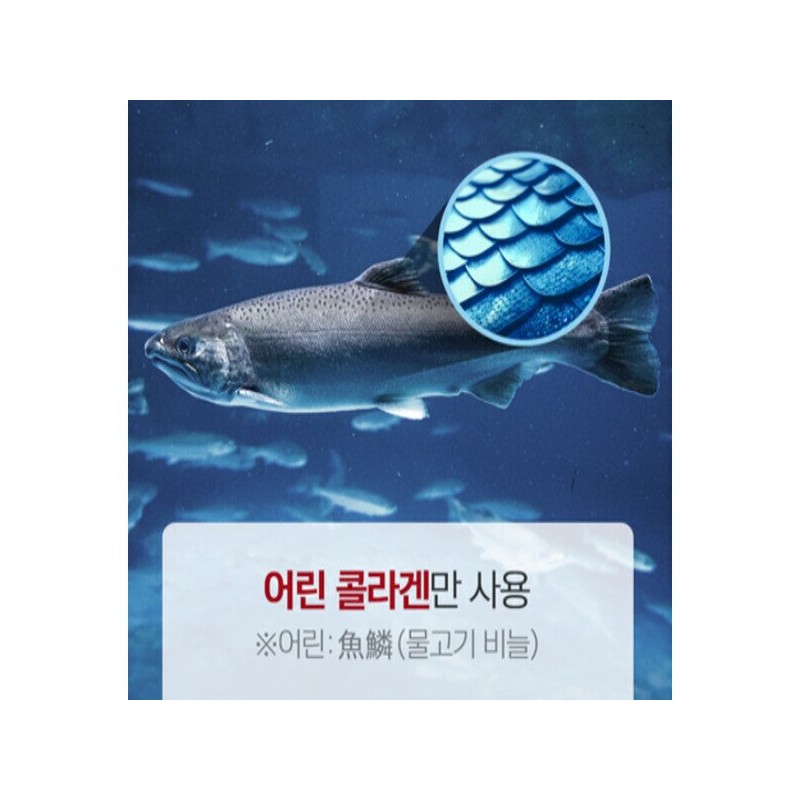 모발엔 저분자 콜라겐 비오틴 두피 피부 듀얼케어 60정 x 1통