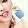 2 Pieces Face Ice Mold, Face Ice Roller, Face Ice
