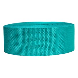 Strapworks Lightweight Polypropylene Webbing - Poly Strapping for Outdoor DIY Gear Repair, Pet Collars, Crafts – 2 Inch x 25 Yards - Teal