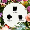 Apotheke Luxury Scented Candles for Home, Canvas - Petite Aromatherapy