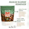 Nualgi Sludge Remover Tablets for Ponds 8.8 oz, Natural Pond