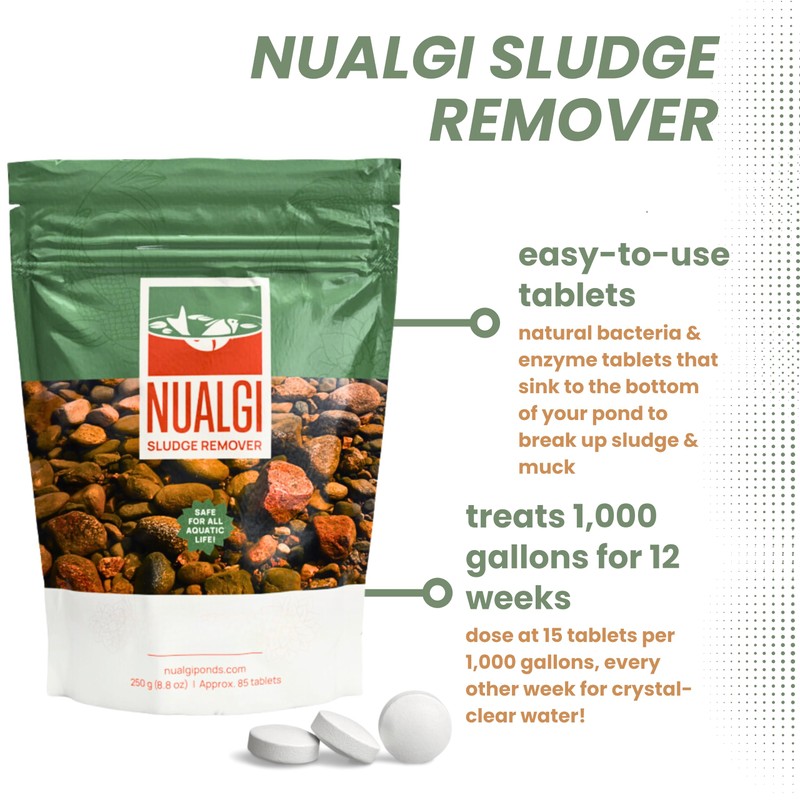 Nualgi Sludge Remover Tablets for Ponds 8.8 oz, Natural Pond