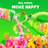 Gain + Aroma Boost Liquid Laundry Detergent, Island Fresh Scent,