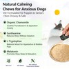 Dog Calming Powder with Chamomile & Valerian Root - Anxiety