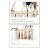 3 Tiered Wall Hanging Plant Terrarium with 12 Test Tubes
