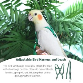 Felenny Bird Harness and Lead Adjustable Bird Lead Essential Accessories Outdoor Flight Anti-Bite Suitable for Scarlet Macaw Sun Conure Cockatiel Parrot