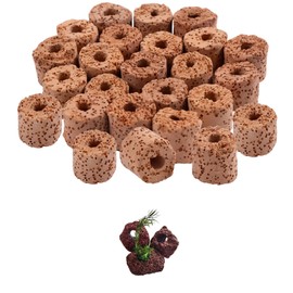 Aquatic Water Plant Fixed Rings, 20 Pcs, 20mm