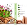 B SEPOR Ceramic Plant Waterer Set of 6 Pack Terracotta