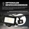 Ledvion LED Spotlight, 30 Watt Osram LED Floodlight, 6500 K