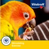 Vitakraft Crunch Sticks Apricot & Cherry Flavor Bird Treat for