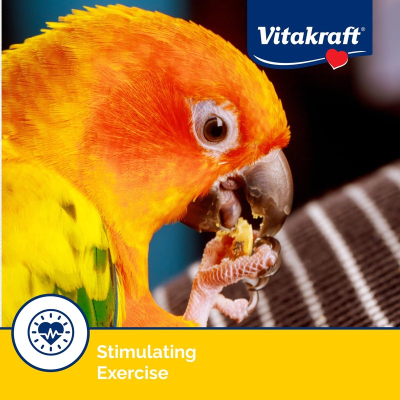 Vitakraft Crunch Sticks Apricot & Cherry Flavor Bird Treat for