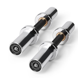 LIONSCOOL 16"/20” Loadable Dumbbells Pairs in Commercial Grade, Heavy Duty Olympic Dumbbell Bar/Handle for Strength Training, Compatible with 2’’ Standard Plates (Silver Chrome, 16 INCH)