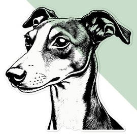 Large 210mm 'Whippet Dog' Transparent/Clear Sticker Decal for Windows/Cars/Walls (DC00138702)