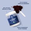 Vimergy Wild Blueberry Powder – Protects Brain Health* - Supports
