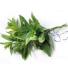 Lemon Verbena Extract / 레몬버베나 추출물