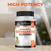 BioSchwartz Ashwagandha Supplements - Extra Strength Ashwagandha Capsules 500mg Per