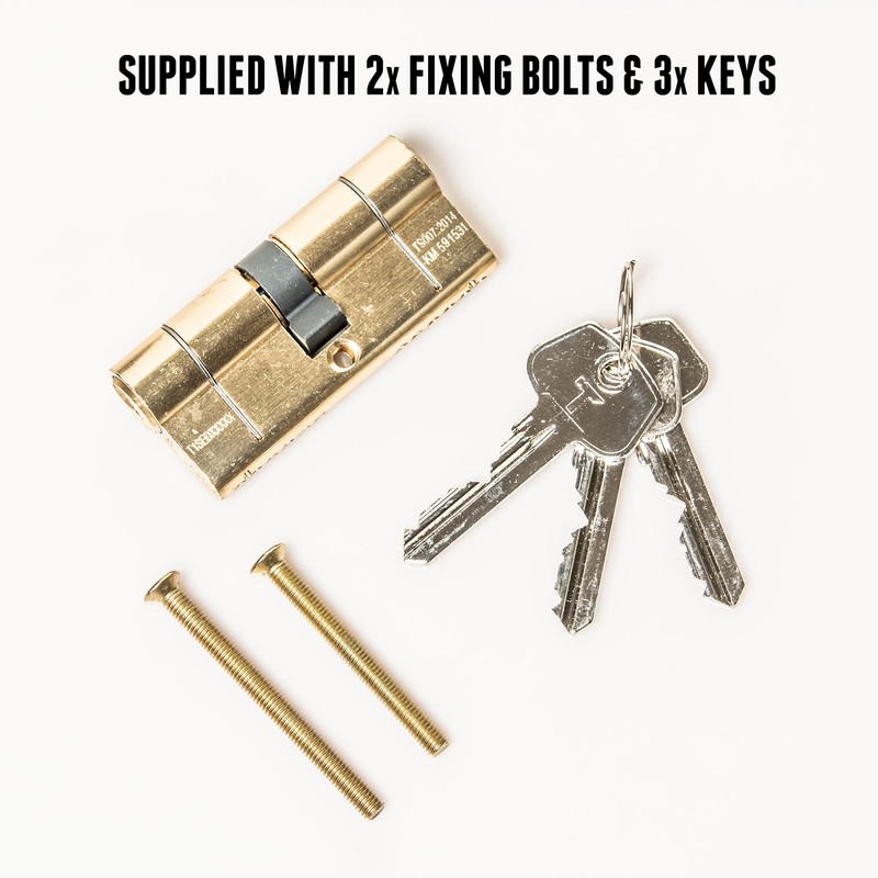 TSS Polished Brass High Security TS007 1 Star Euro Cylinder