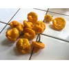 Leaning Tree Micro-Farm Naturally Dried Scotch Bonnet Peppers-Yellow- 1 oz.