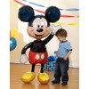 Anagram International Mickey Mouse Air Walker, Multi-Color
